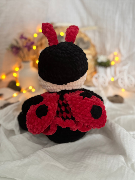 Marienkäfer 🐞